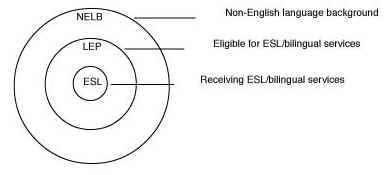 Figure 1. Definitions of Non-English Language Background Students by Subgroups